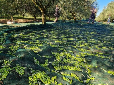 Monte Rosso Monte Rosso