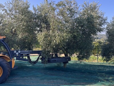 Monte Rosso Monte Rosso