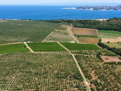 Monte Rosso Monte Rosso