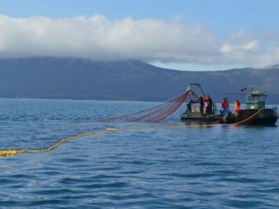 Mali ribari u hrvatskom Jadranu