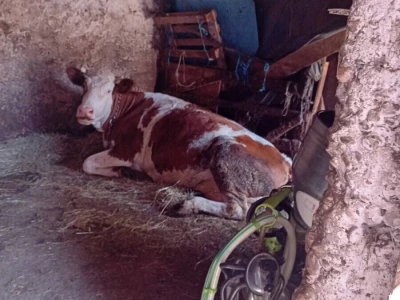 Mostarska naselja bez vode, štete ogromne u poljoprivredi