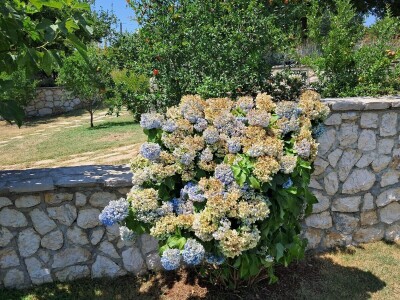 Mostarska naselja bez vode, štete ogromne u poljoprivredi