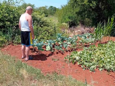 Mostarska naselja bez vode, štete ogromne u poljoprivredi