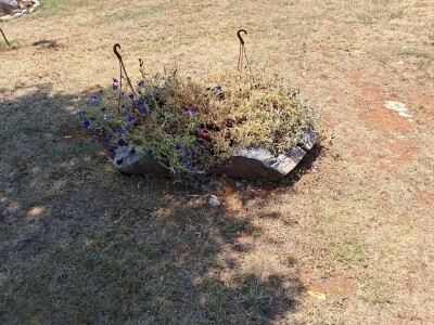 Mostarska naselja bez vode, štete ogromne u poljoprivredi