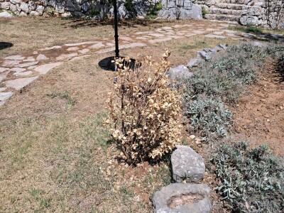 Mostarska naselja bez vode, štete ogromne u poljoprivredi