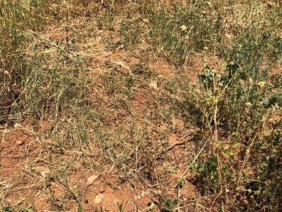 Mostarska naselja bez vode, štete ogromne u poljoprivredi