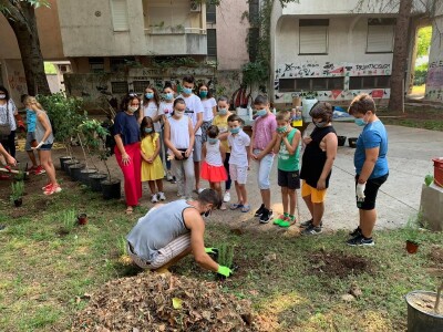 Mostarski Bulevar uljepšan jestivim gradskim dvorištem