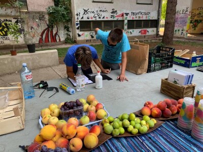 Mostarski Bulevar uljepšan jestivim gradskim dvorištem