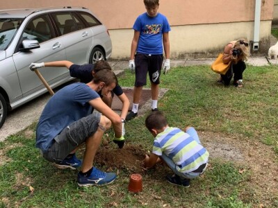 Mostarski Bulevar uljepšan jestivim gradskim dvorištem