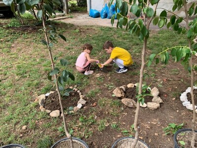 Mostarski Bulevar uljepšan jestivim gradskim dvorištem