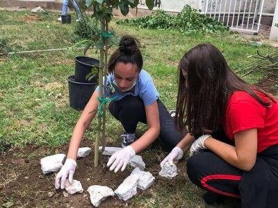 Mostarski Bulevar uljepšan jestivim gradskim dvorištem