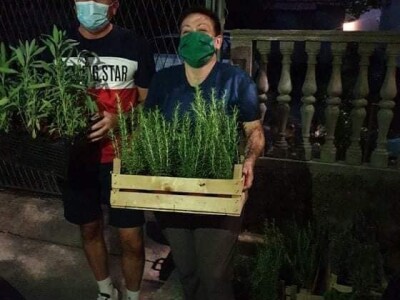 Mostarski Bulevar uljepšan jestivim gradskim dvorištem