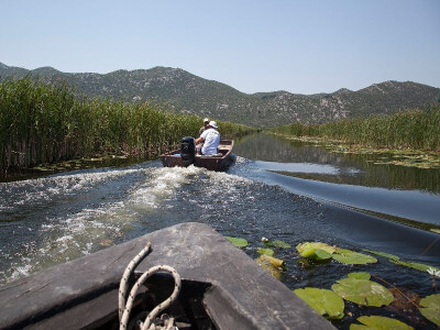 Nesvakidašnji motiv u dolini Neretve tijekom berbe lubenica i dinja, lubenica, mandarina, povrća, grožđa... Nesvakidašnji motiv u dolini Neretve tijekom berbe lubenica i dinja, lubenica, mandarina, povrća, grožđa...