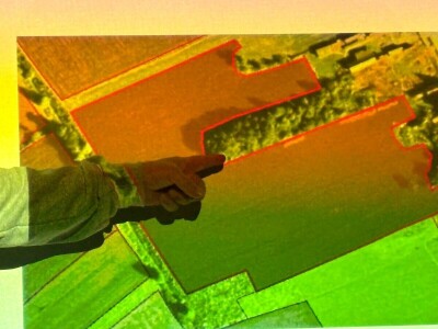 Može li nas agrošumarstvo spasiti od klimatskih promjena?