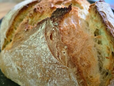 Može li se živjeti u trajnom bojkotu?