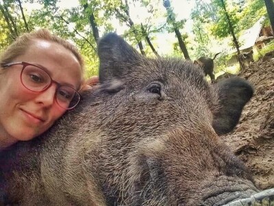 Može li se živjeti u trajnom bojkotu?