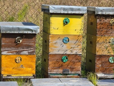 Može li se živjeti u trajnom bojkotu?