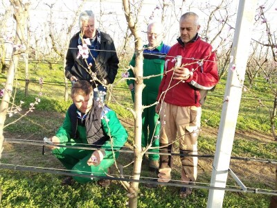 Poljoprivredni obrt Miks Agro i OPG Kovačević Poljoprivredni obrt Miks Agro i OPG Kovačević