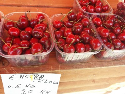 Mraz uništio trešnje