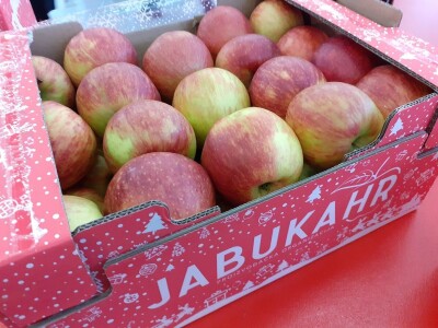 Mraz uništio trešnje