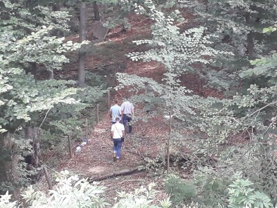 Mrka medvedica usmrtila ovce u novogradskom selu Prusci