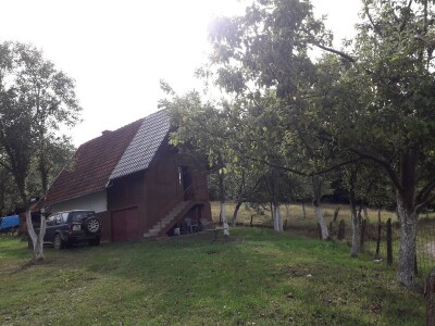 Mrka medvjedica usmrtila ovce u novogradskom selu Prusci