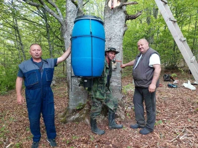 Mrki medved