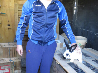 Daniel uzgaja i zečeve Daniel uzgaja i zečeve