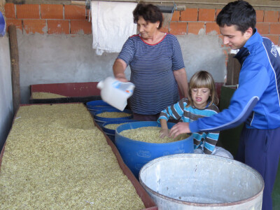Sami proizvode stočnu hranu Sami proizvode stočnu hranu