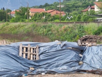 Mstarski pčelari zabrinuti zbog uginuća pčela Mstarski pčelari zabrinuti zbog uginuća pčela