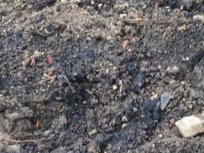 Mstarski pčelari zabrinuti zbog uginuća pčela Mstarski pčelari zabrinuti zbog uginuća pčela