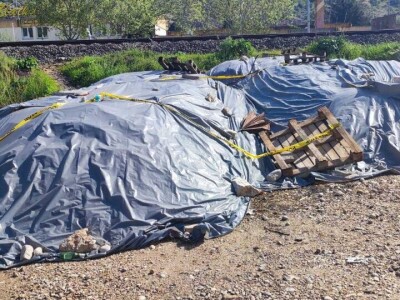 Mstarski pčelari zabrinuti zbog uginuća pčela Mstarski pčelari zabrinuti zbog uginuća pčela