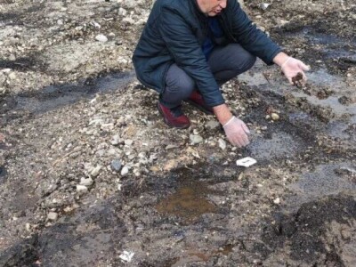 Mstarski pčelari zabrinuti zbog uginuća pčela Mstarski pčelari zabrinuti zbog uginuća pčela