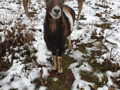 Braća Maturanec i njihov brand Braća Maturanec i njihov brand
