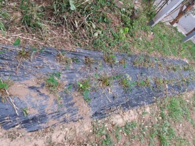 Muharem Ramljak: Zahvalni smo Adnanu na pomoći, vraća nadu u dobre ljude