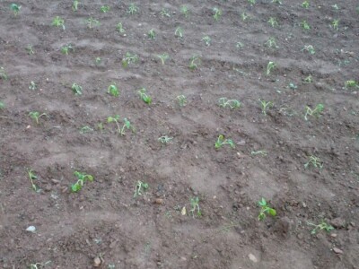 Muharem Ramljak: Zahvalni smo Adnanu na pomoći, vraća nadu u dobre ljude