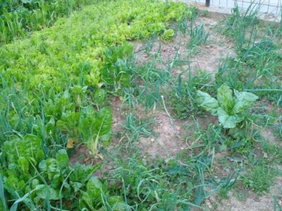 Muharem Ramljak: Zahvalni smo Adnanu na pomoći, vraća nadu u dobre ljude