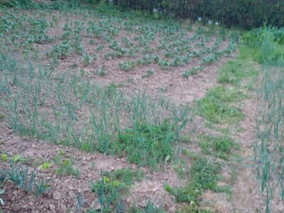 Muharem Ramljak: Zahvalni smo Adnanu na pomoći, vraća nadu u dobre ljude