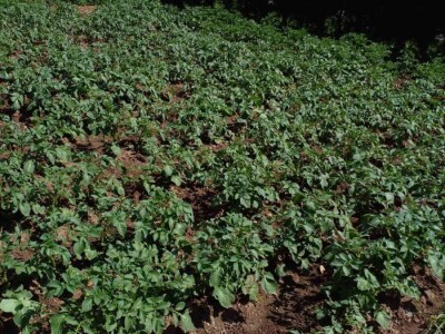 Muharem Ramljak: Zahvalni smo Adnanu na pomoći, vraća nadu u dobre ljude