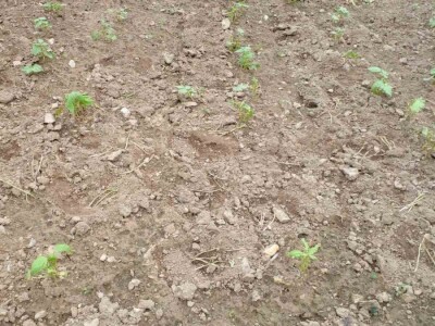 Muharem Ramljak: Zahvalni smo Adnanu na pomoći, vraća nadu u dobre ljude