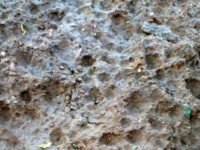 Muharem Ramljak: Zahvalni smo Adnanu na pomoći, vraća nadu u dobre ljude