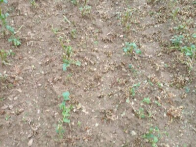 Muharem Ramljak: Zahvalni smo Adnanu na pomoći, vraća nadu u dobre ljude