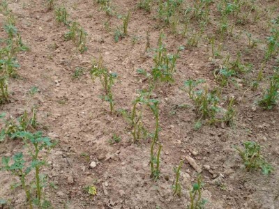 Muharem Ramljak: Zahvalni smo Adnanu na pomoći, vraća nadu u dobre ljude