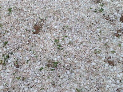 Muharem Ramljak: Zahvalni smo Adnanu na pomoći, vraća nadu u dobre ljude