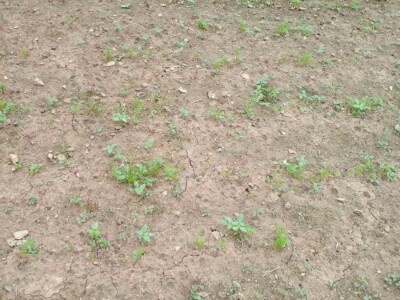 Muharem Ramljak: Zahvalni smo Adnanu na pomoći, vraća nadu u dobre ljude