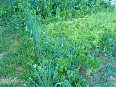 Muharem Ramljak: Zahvalni smo Adnanu na pomoći, vraća nadu u dobre ljude