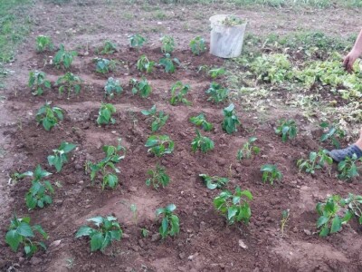 Muharem Ramljak: Zahvalni smo Adnanu na pomoći, vraća nadu u dobre ljude