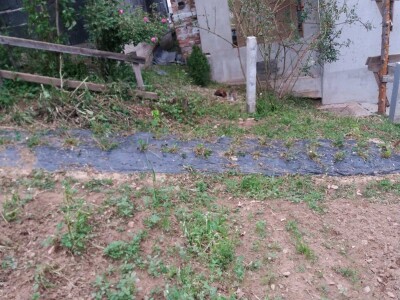 Muharem Ramljak: Zahvalni smo Adnanu na pomoći, vraća nadu u dobre ljude