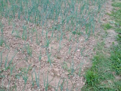 Muharem Ramljak: Zahvalni smo Adnanu na pomoći, vraća nadu u dobre ljude