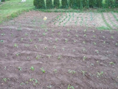 Muharem Ramljak: Zahvalni smo Adnanu na pomoći, vraća nadu u dobre ljude